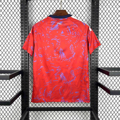 2026 Costa Rica Home Kit